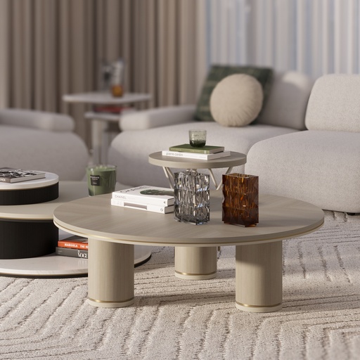 DOMUS Coffee Table